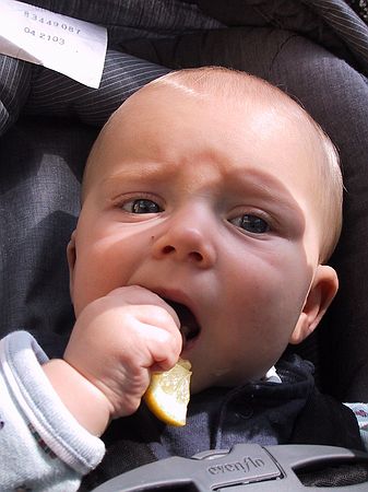 Gus eats a lemon slice.