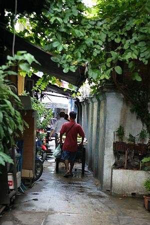 A quieter alley.