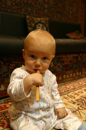 Gus chews a bread stick while rug shopping in the Grand Bazzar.