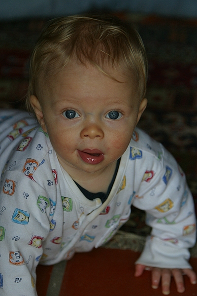 Zeke on the floor.