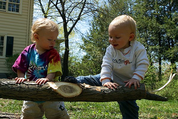 Early tree climbing.