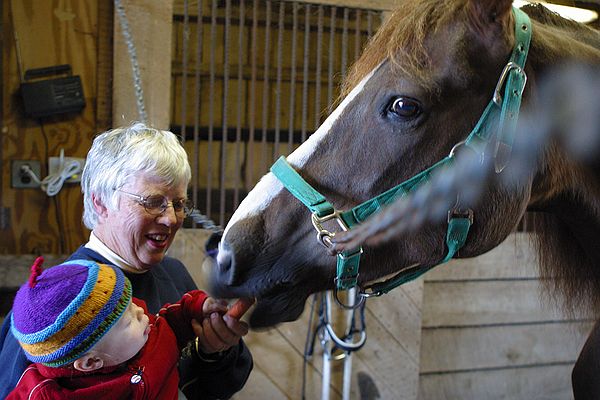 Feeding Lovey carrots.