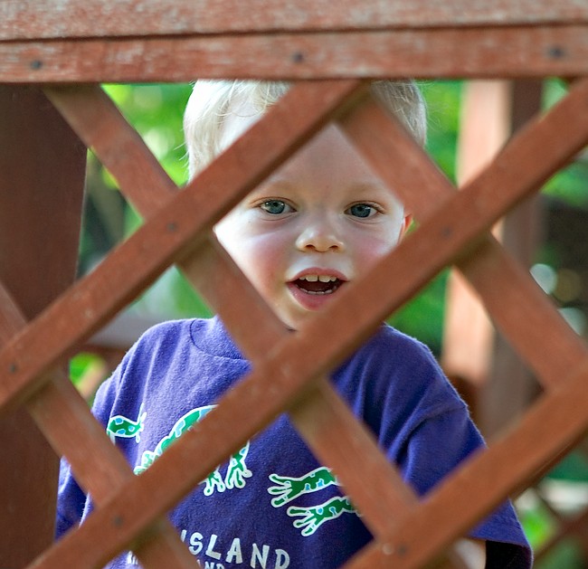 Through the fence.