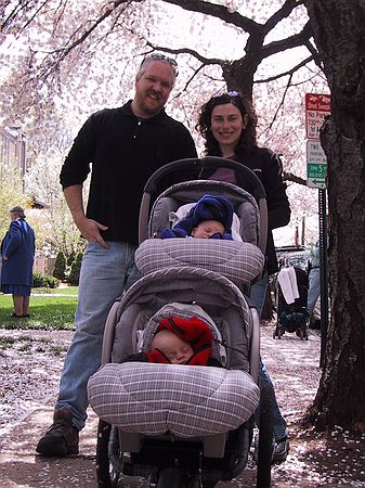 At New Haven's Cherry Blossom Festival.